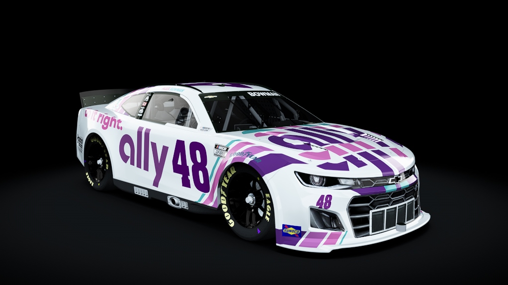 48_Ally Do it right