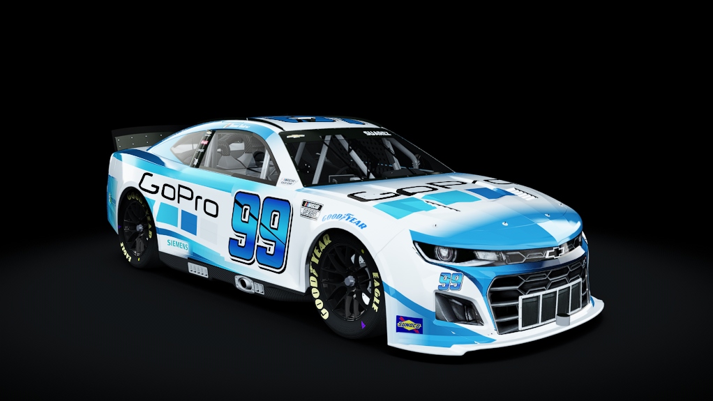 99_Go Pro